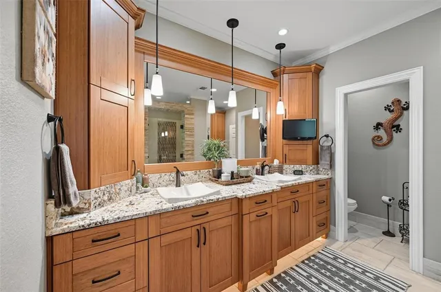 a bathroom with a granite countertop sink mirror and a shower