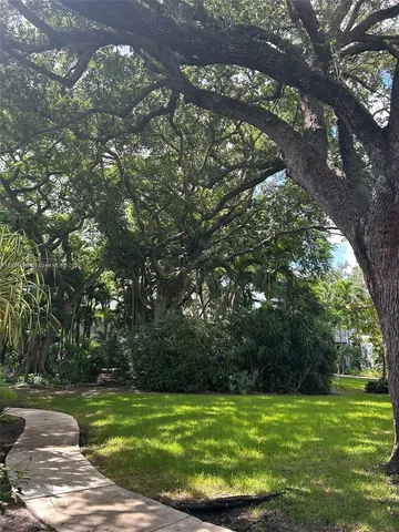 a view of a grassy field with an trees