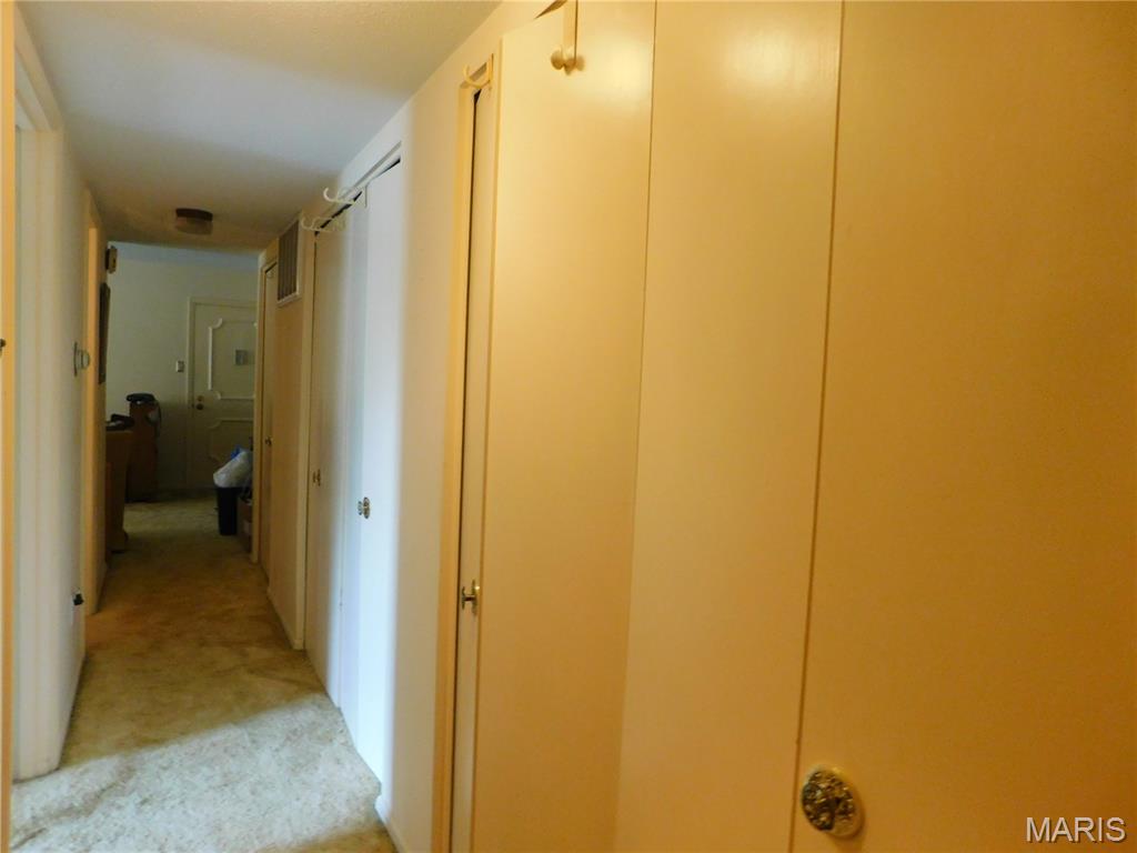 1678 Blue Ridge Drive, Unit F St. Louis, MO 63125 - Photo 20 of 23