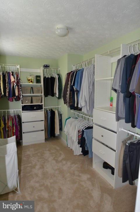 10499 Labrador Loop Manassas, VA 20112 - Photo 10 of 18 Bedroom (Master)