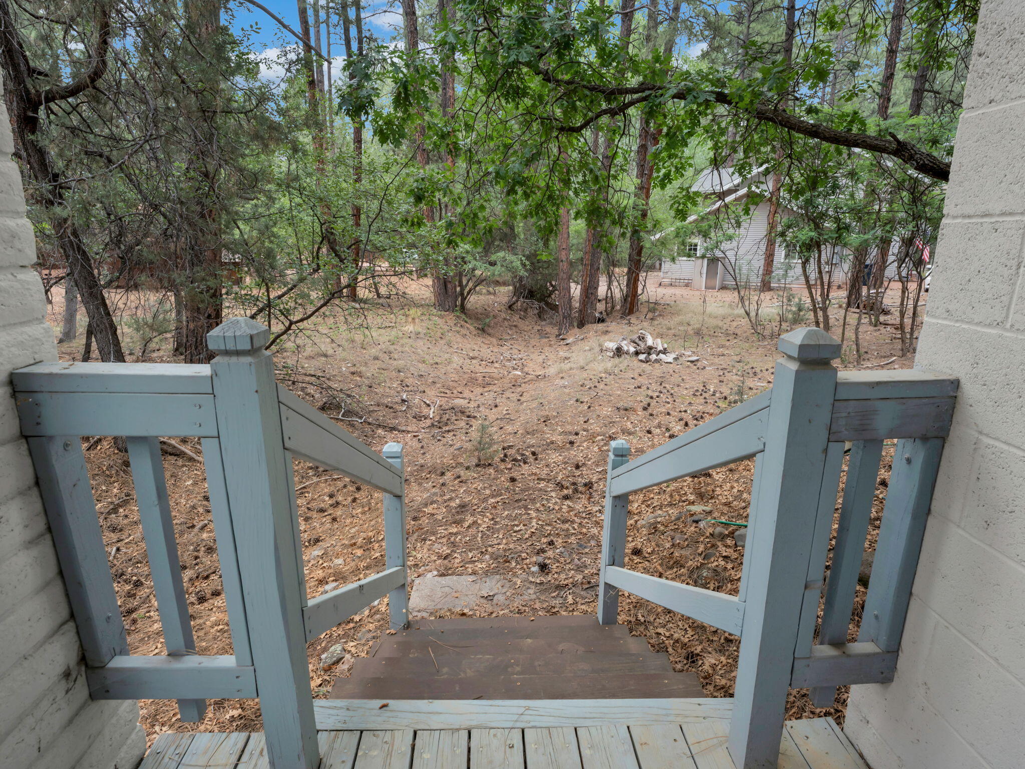 6368 Sharyn Road Pine, AZ 85544 - Photo 28 of 39