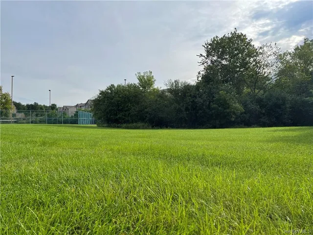 a view of field with tall trees