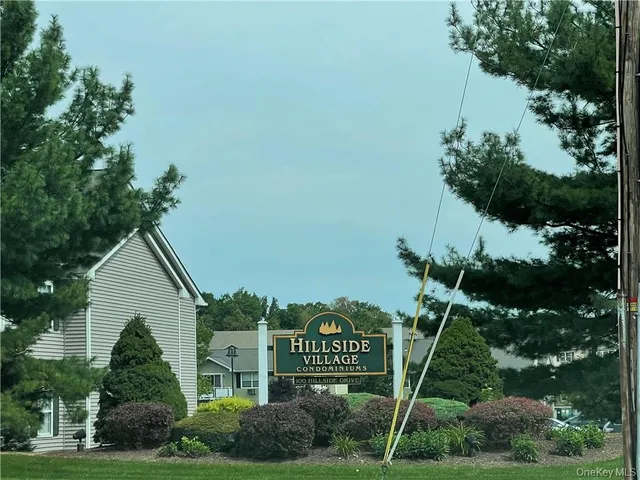a view of a house with a yard and potted plants