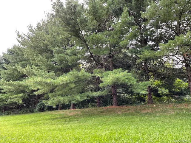 a view of a golf course with a yard