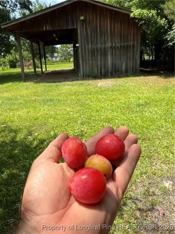 $129,900 | 3369 Stedman Cedar Creek Road, Fayetteville, NC 28312