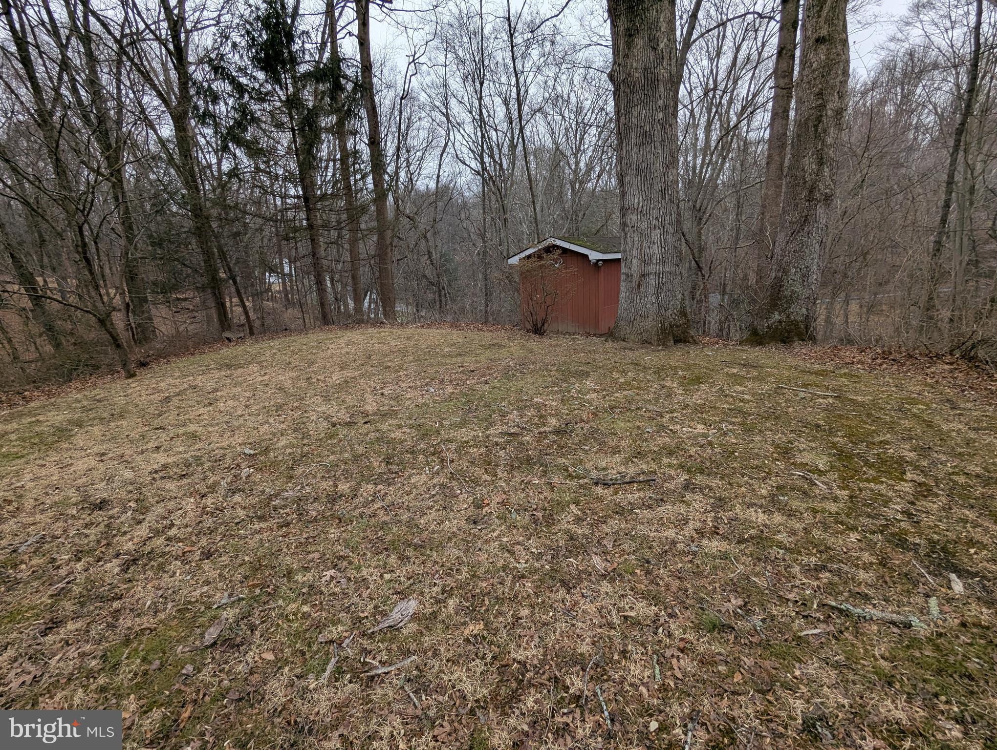 1475 Woodstock Road Woodstock, MD 21163 - Photo 19 of 26 a big yard with large trees