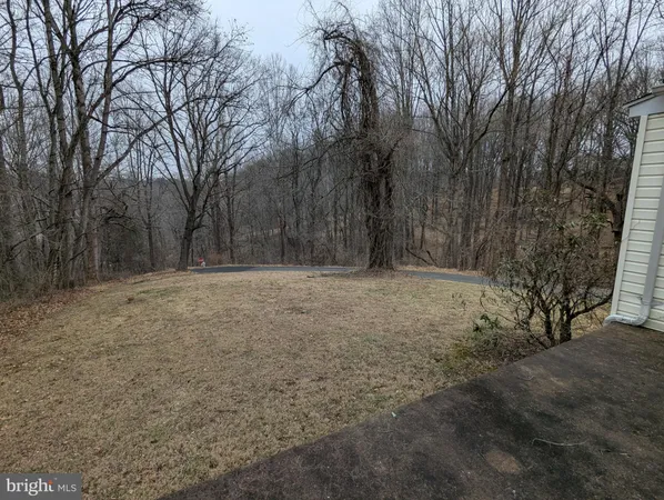 a view of large yard with large trees