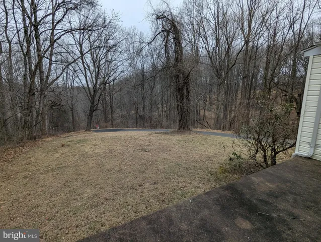 a view of large yard with large trees