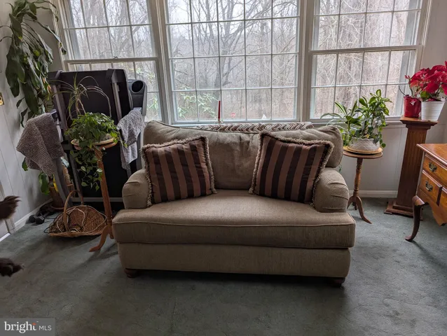 a living room with furniture potted plant and a large window