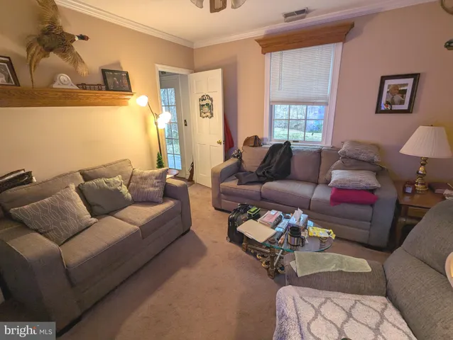 a living room with furniture and a couch