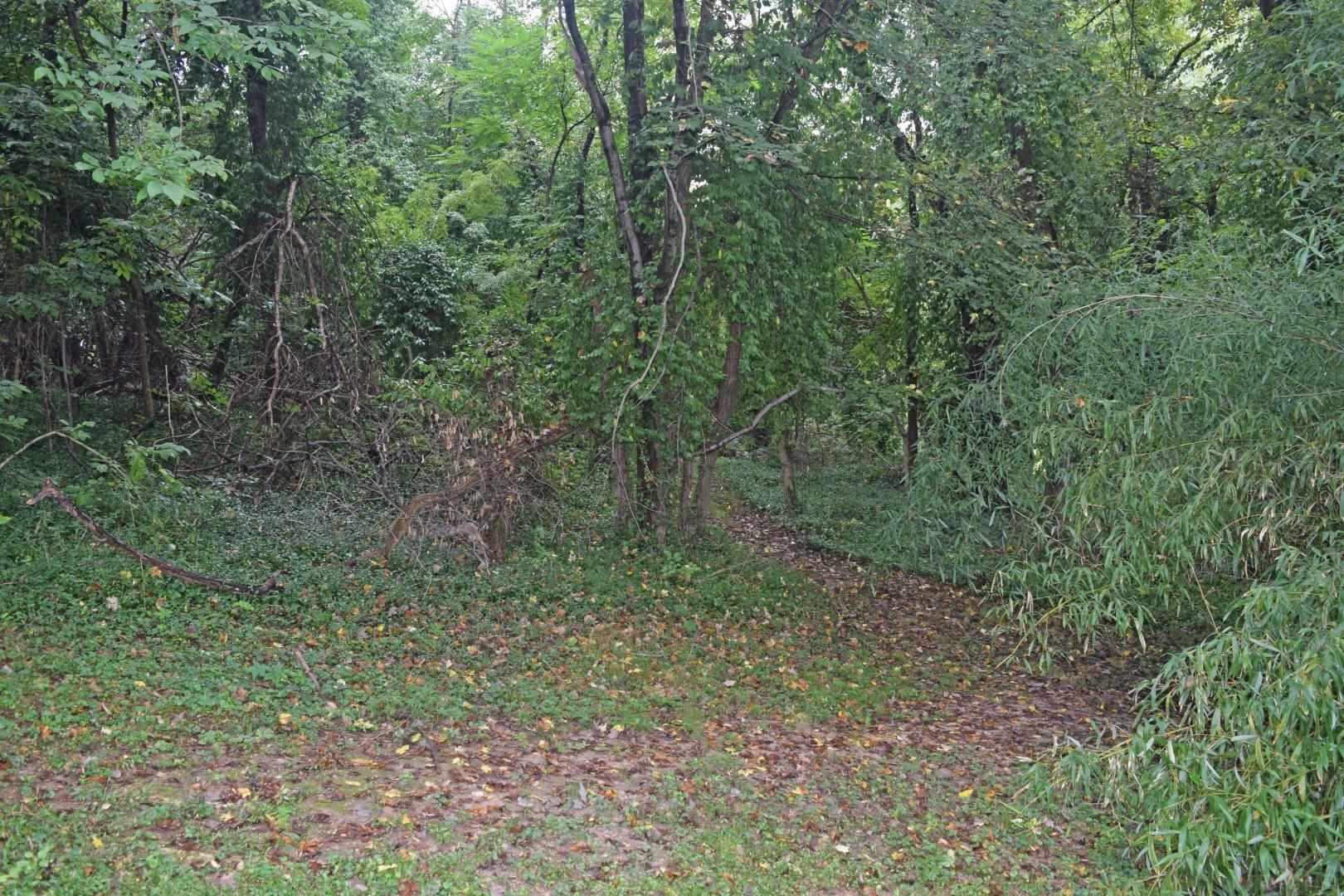 3753 Stringtown Road Evansville, IN 47711 - Photo 29 of 30 Gallery Image 29