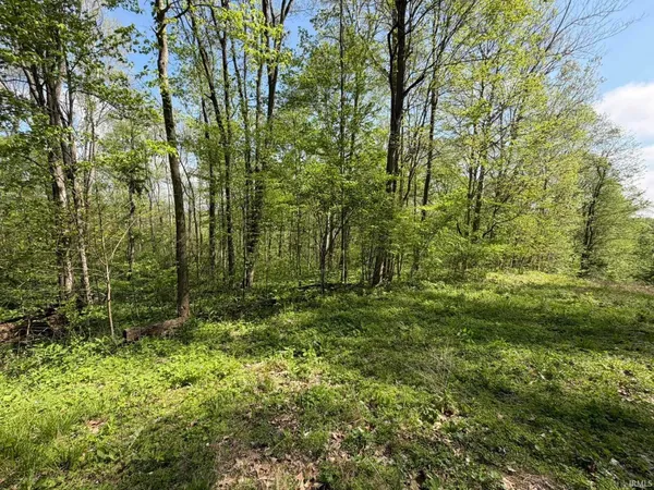 $135,441 | Tbd Coon Path Road, Spencer, IN 47460