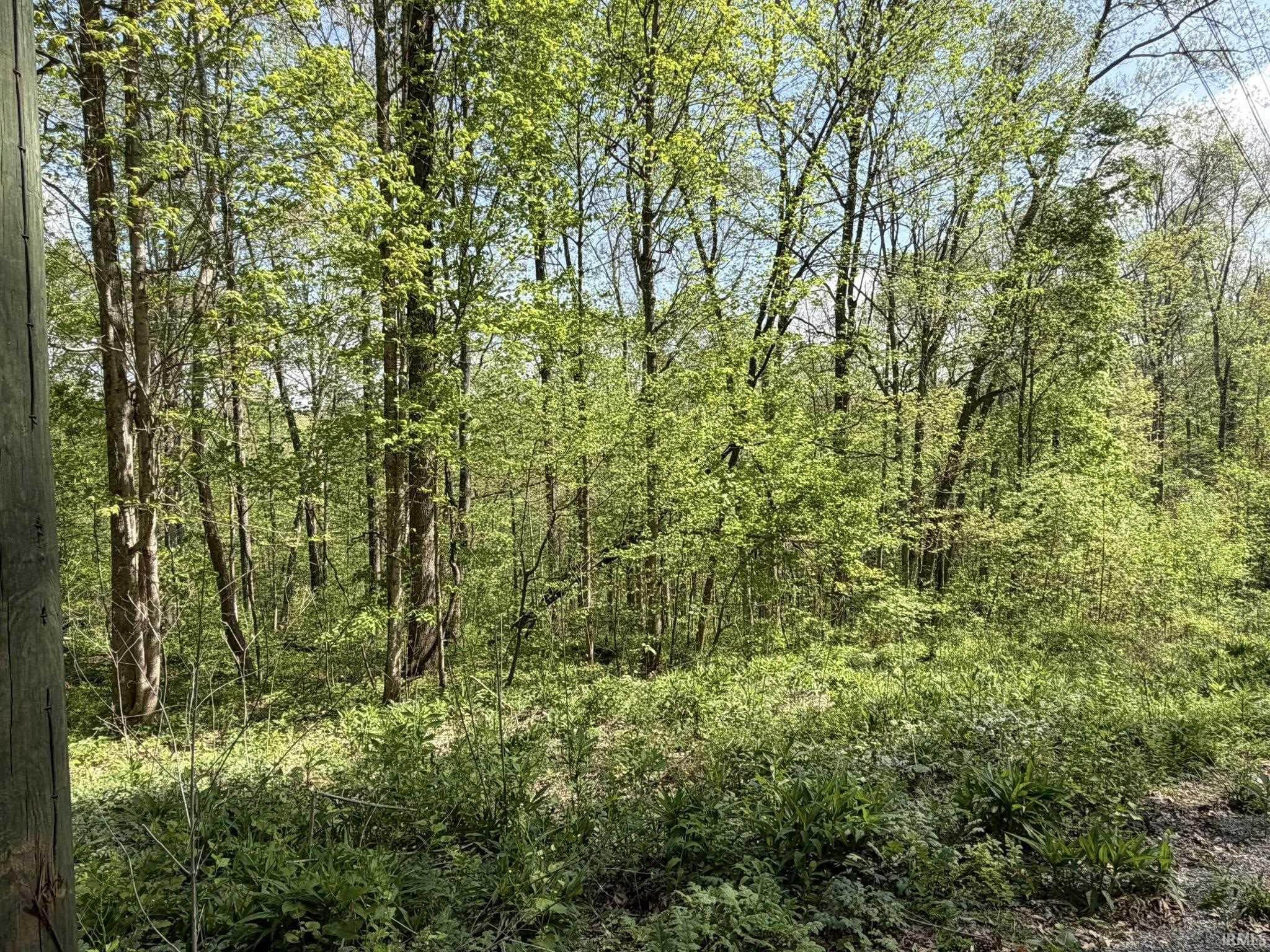 Tbd Coon Path Road Spencer, IN 47460 - Photo 11 of 34