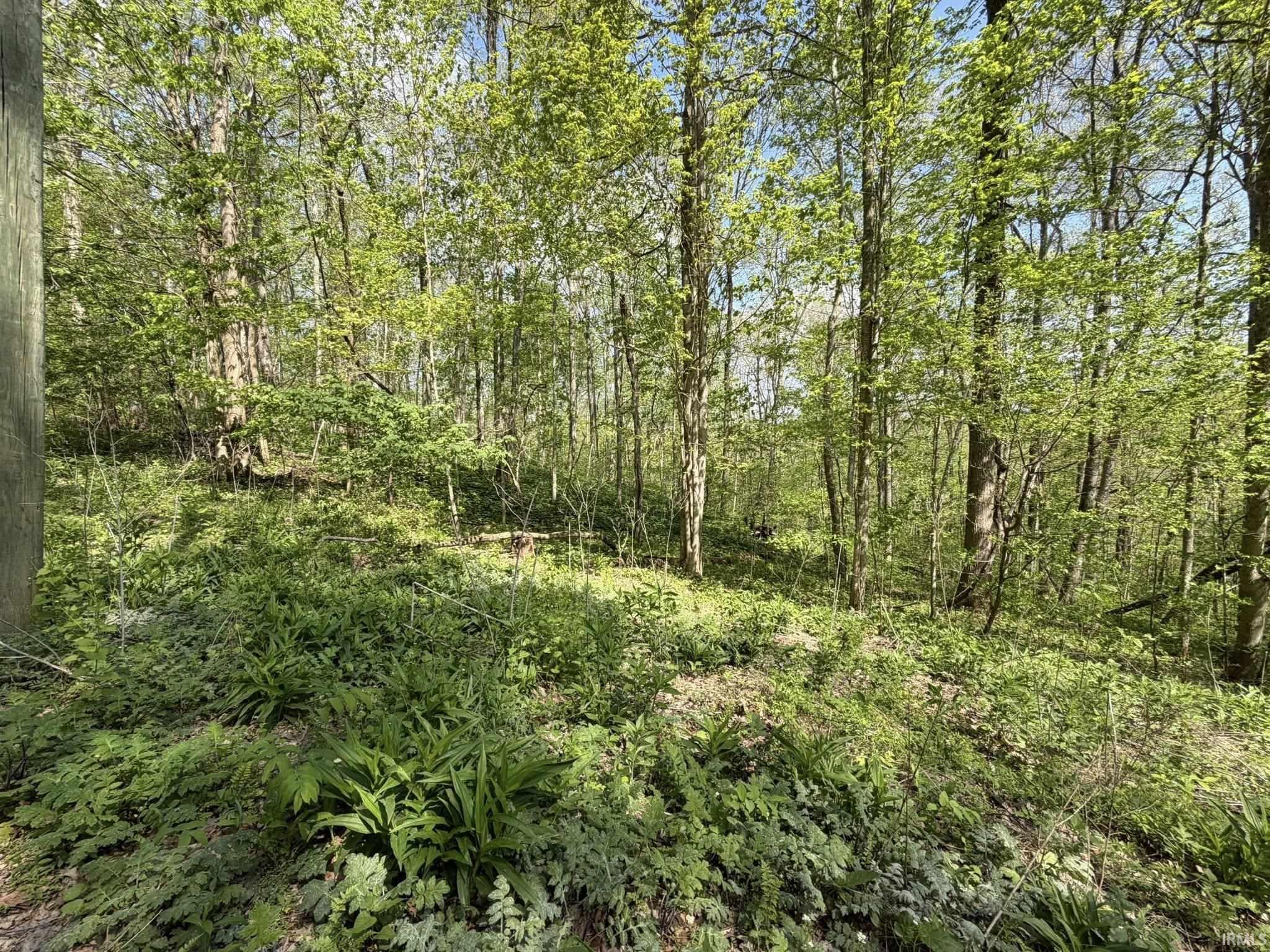 Tbd Coon Path Road Spencer, IN 47460 - Photo 12 of 34