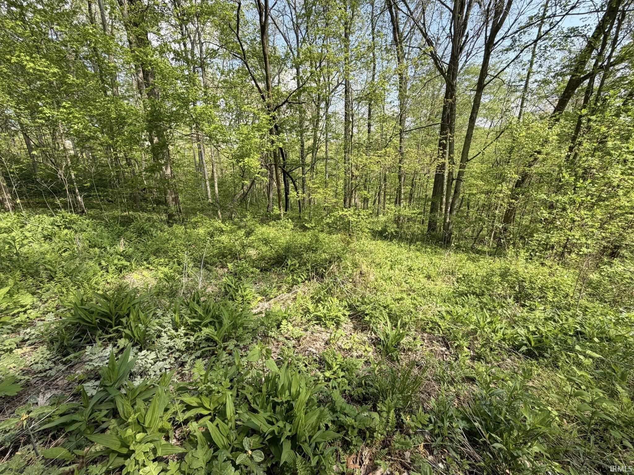 Tbd Coon Path Road Spencer, IN 47460 - Photo 14 of 34