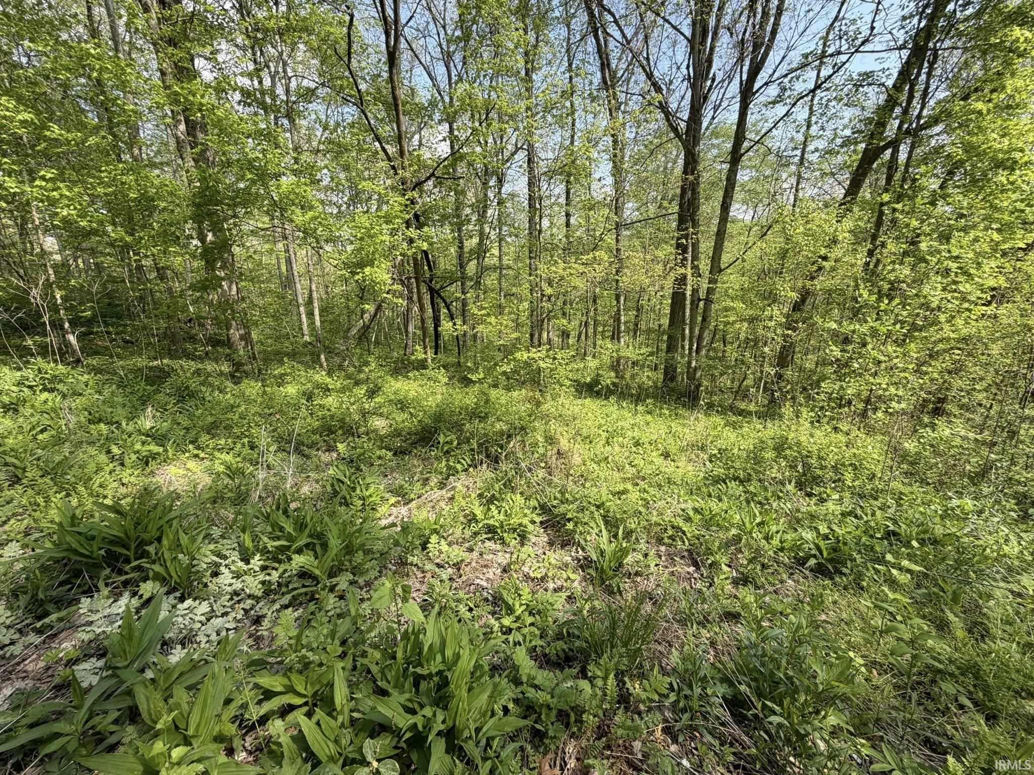 Tbd Coon Path Road Spencer, IN 47460 - Photo 15 of 34