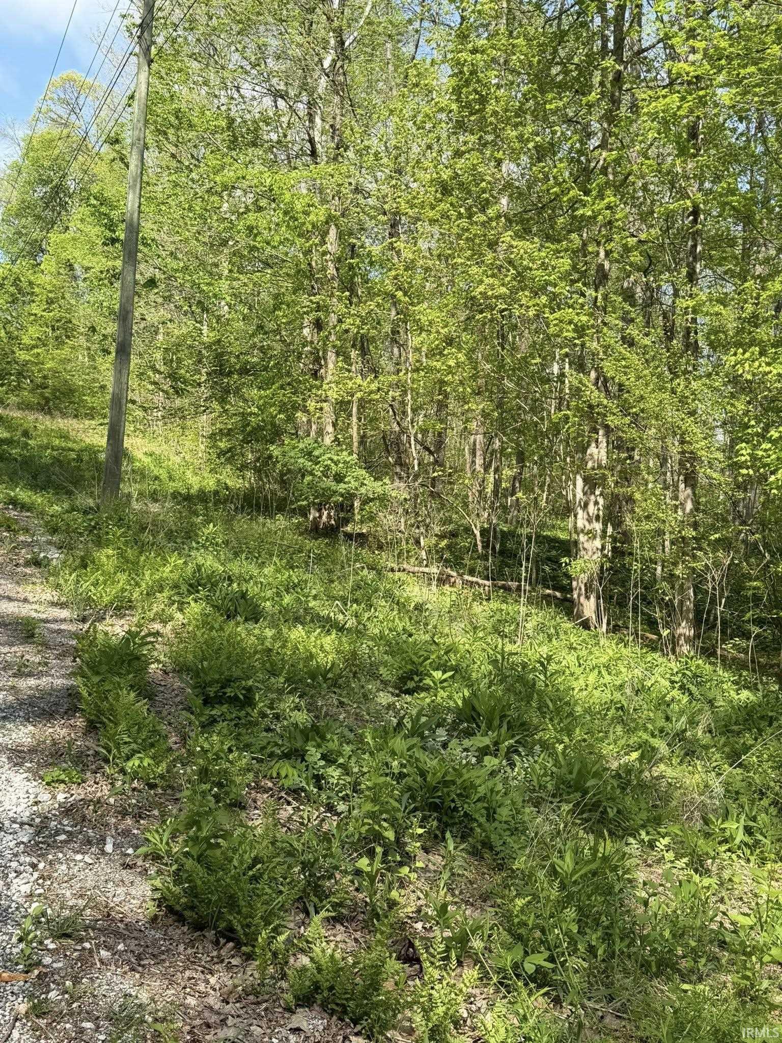 Tbd Coon Path Road Spencer, IN 47460 - Photo 16 of 34
