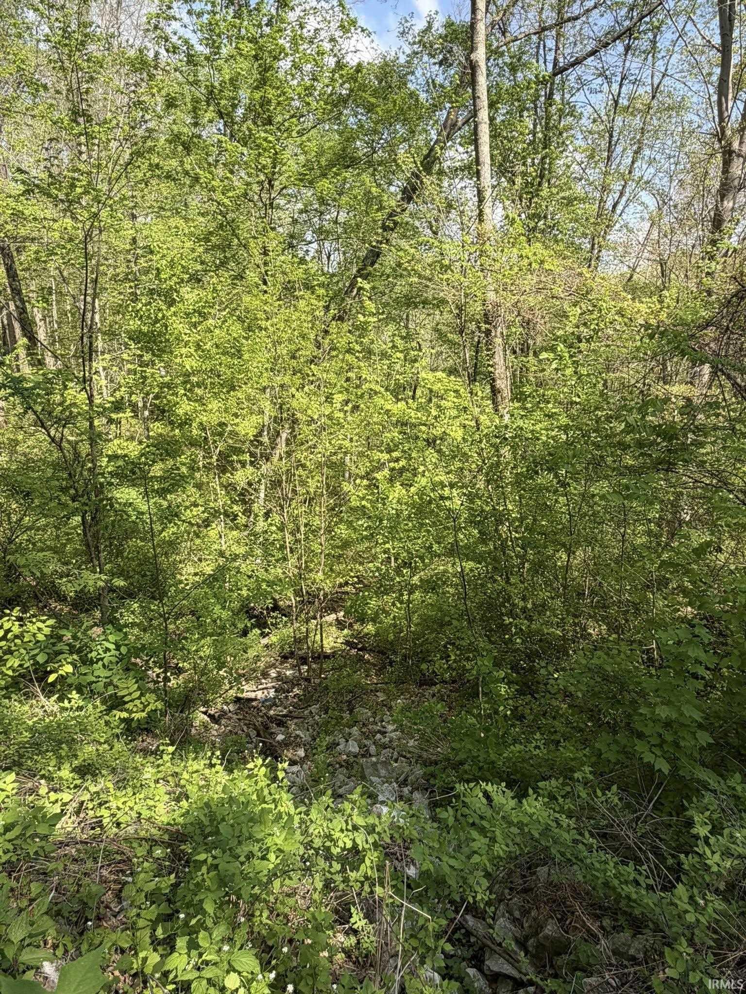 Tbd Coon Path Road Spencer, IN 47460 - Photo 18 of 34