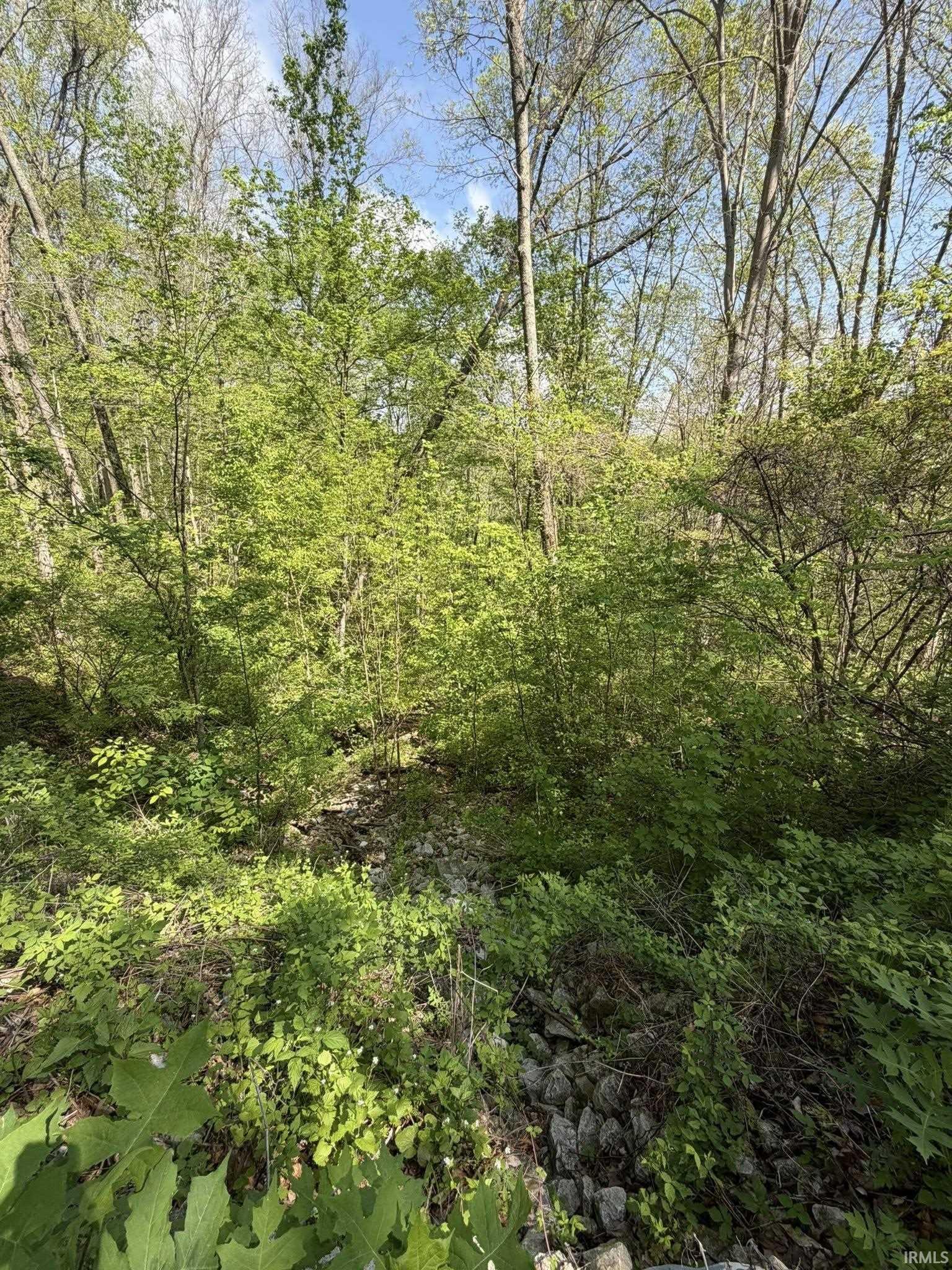 Tbd Coon Path Road Spencer, IN 47460 - Photo 19 of 34