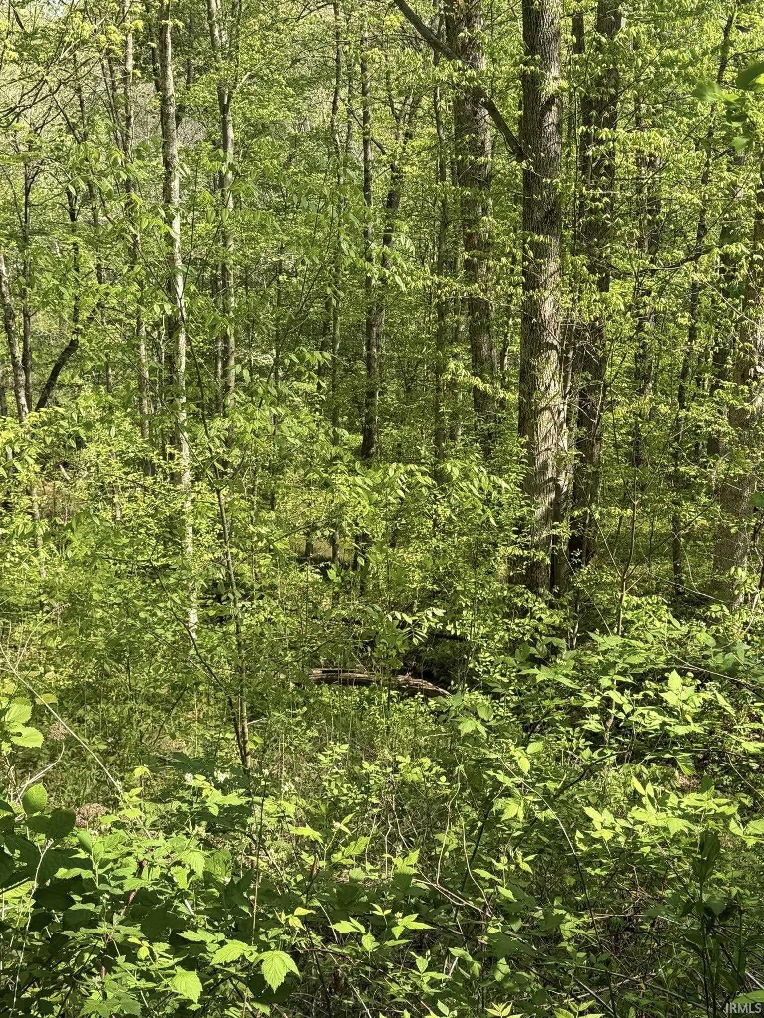 Tbd Coon Path Road Spencer, IN 47460 - Photo 21 of 34
