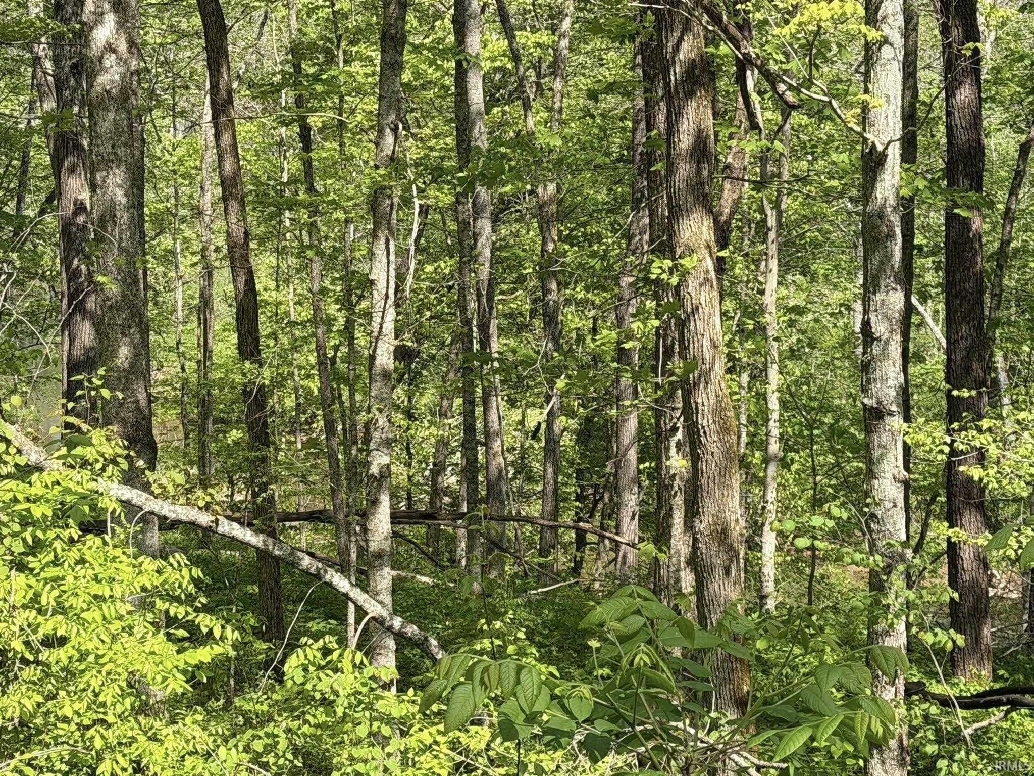 Tbd Coon Path Road Spencer, IN 47460 - Photo 23 of 34