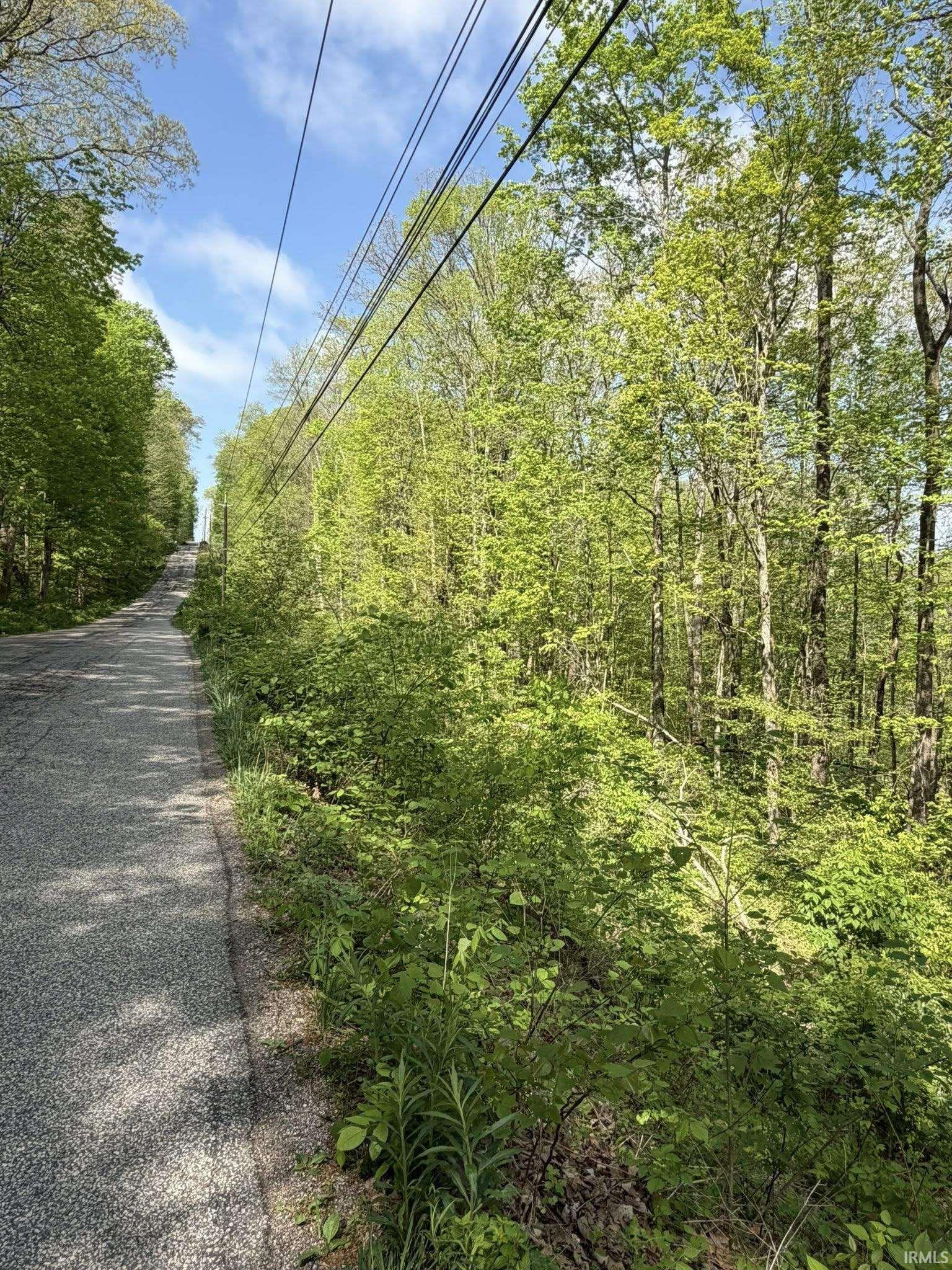 Tbd Coon Path Road Spencer, IN 47460 - Photo 24 of 34