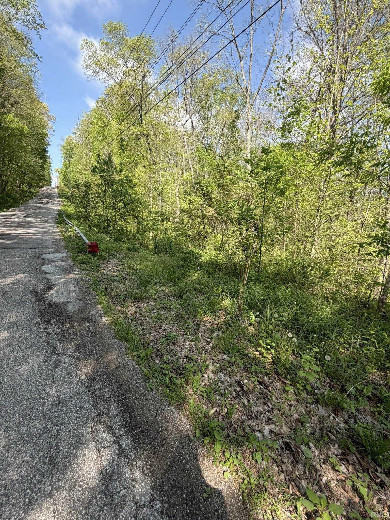 Tbd Coon Path Road Spencer, IN 47460 - Photo 26 of 34