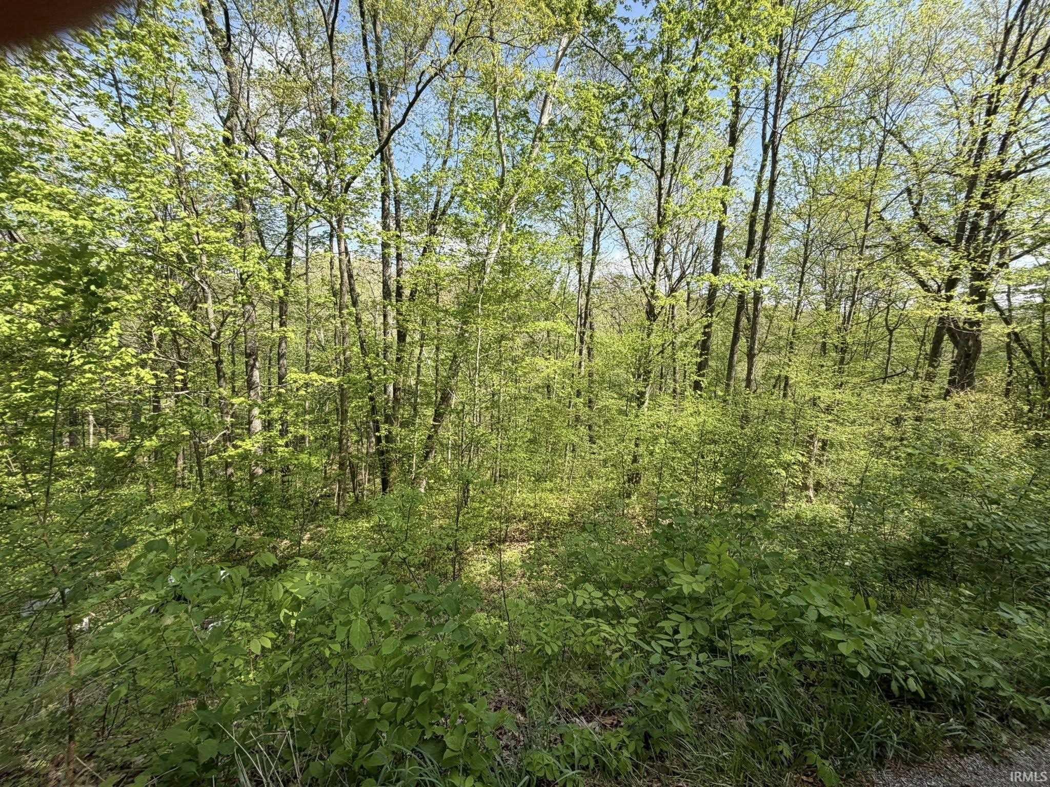 Tbd Coon Path Road Spencer, IN 47460 - Photo 28 of 34