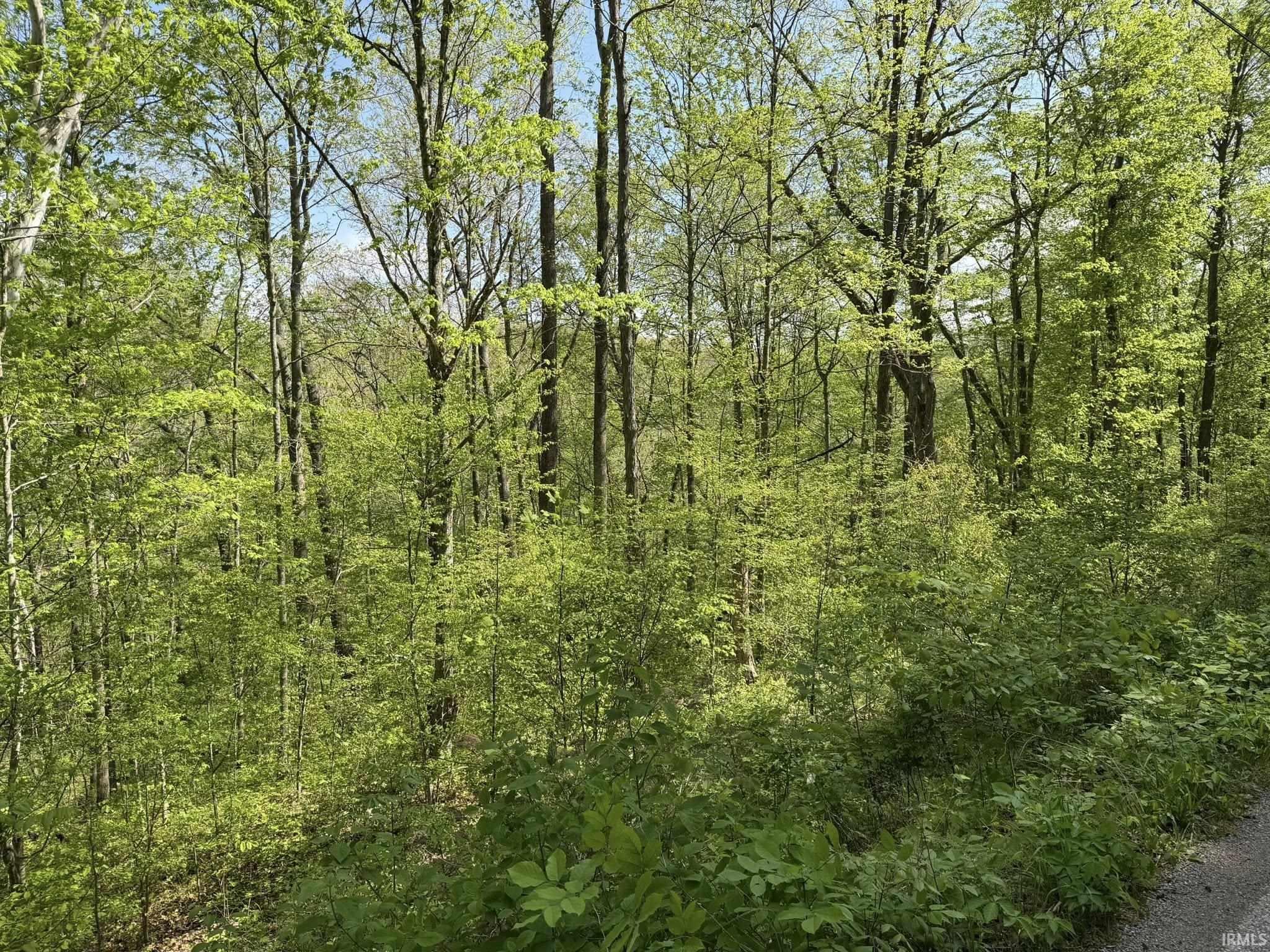 Tbd Coon Path Road Spencer, IN 47460 - Photo 29 of 34