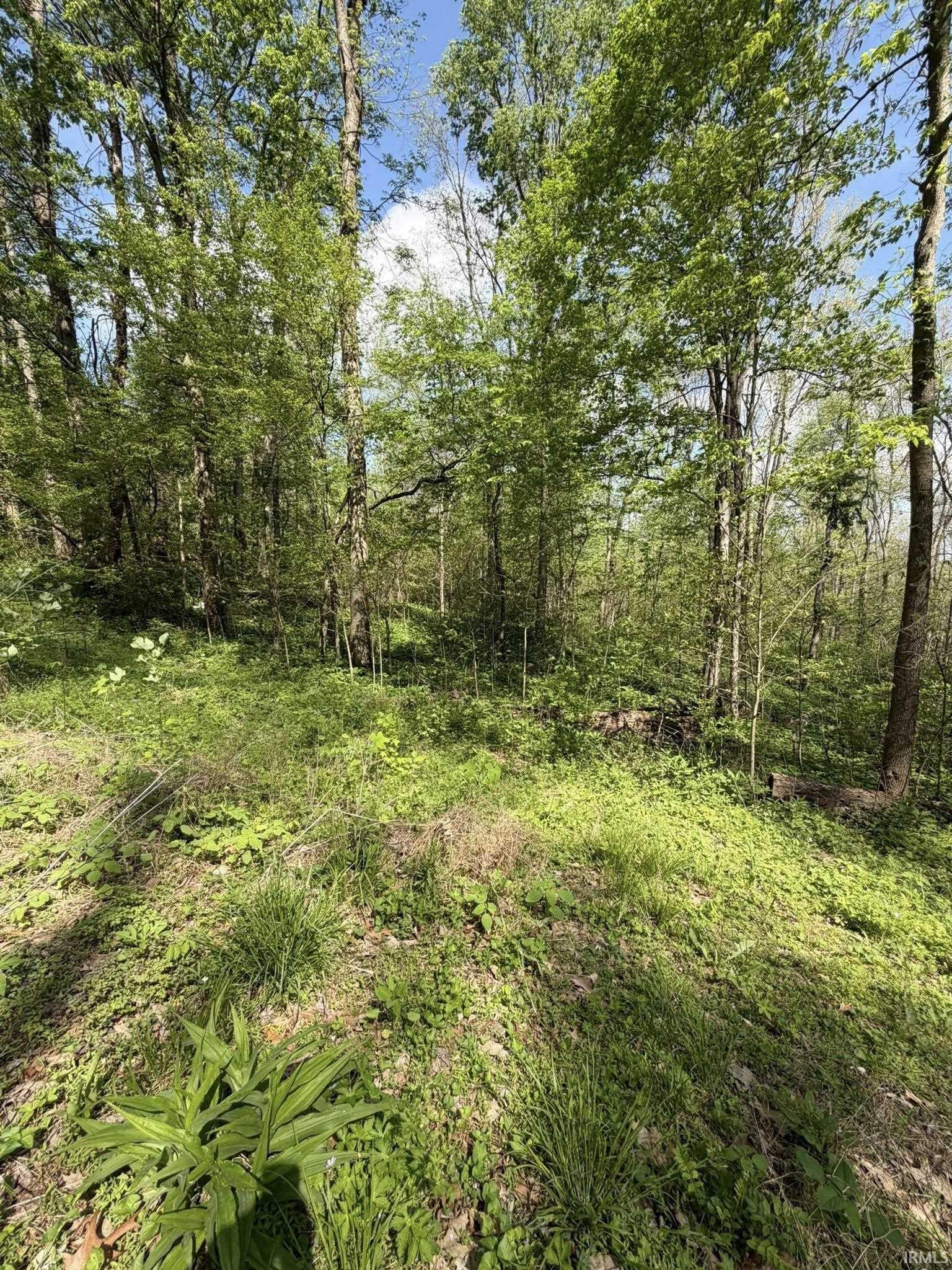 Tbd Coon Path Road Spencer, IN 47460 - Photo 3 of 34