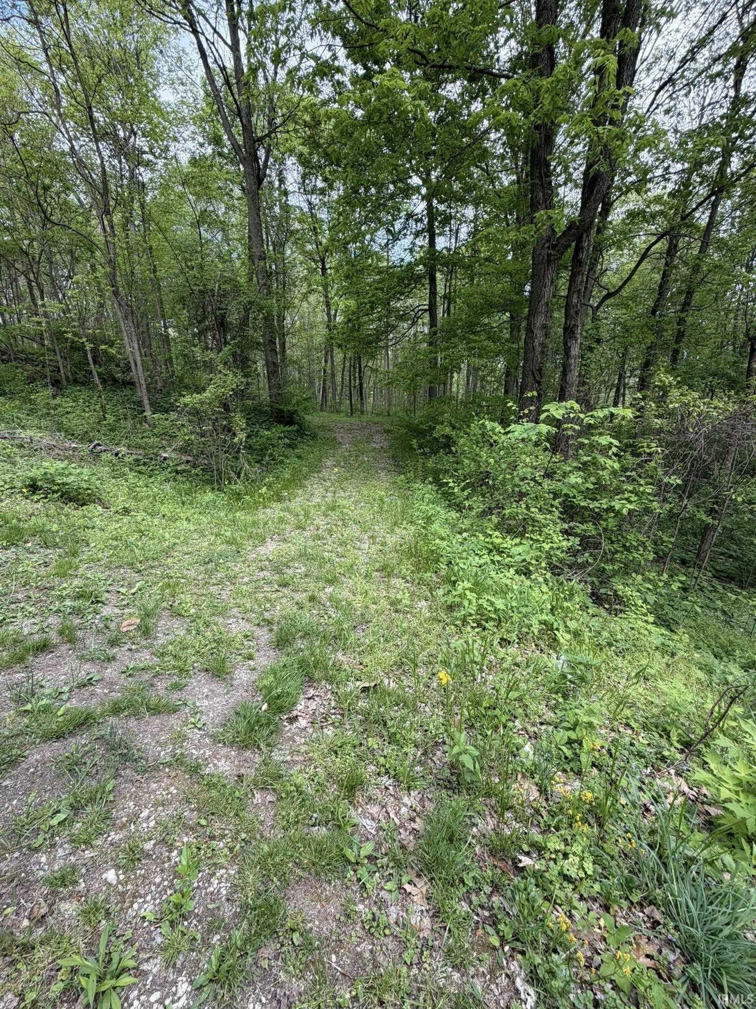 Tbd Coon Path Road Spencer, IN 47460 - Photo 34 of 34