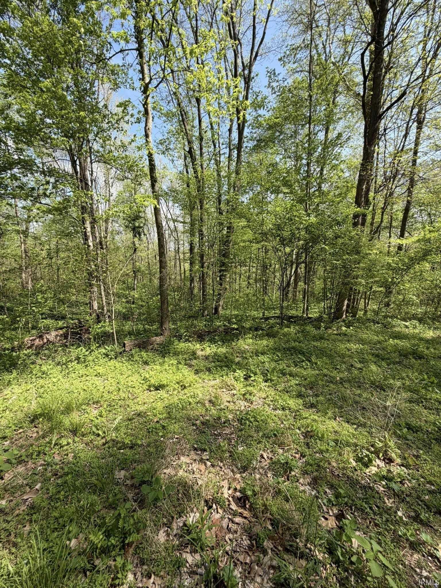Tbd Coon Path Road Spencer, IN 47460 - Photo 4 of 34