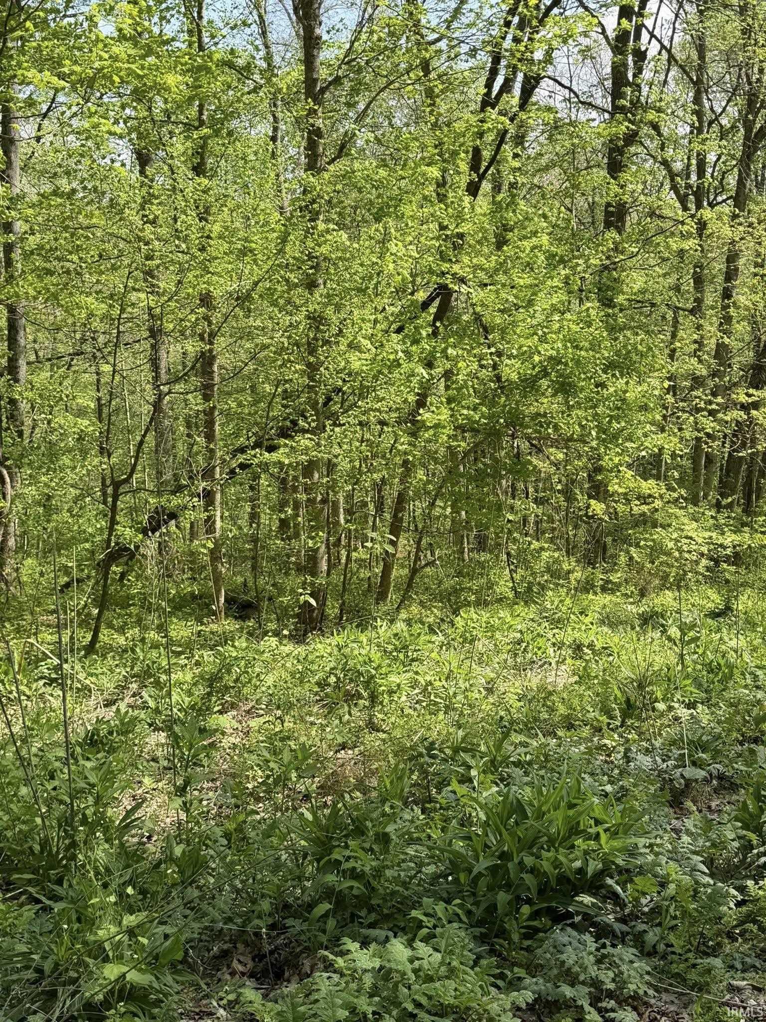 Tbd Coon Path Road Spencer, IN 47460 - Photo 10 of 34