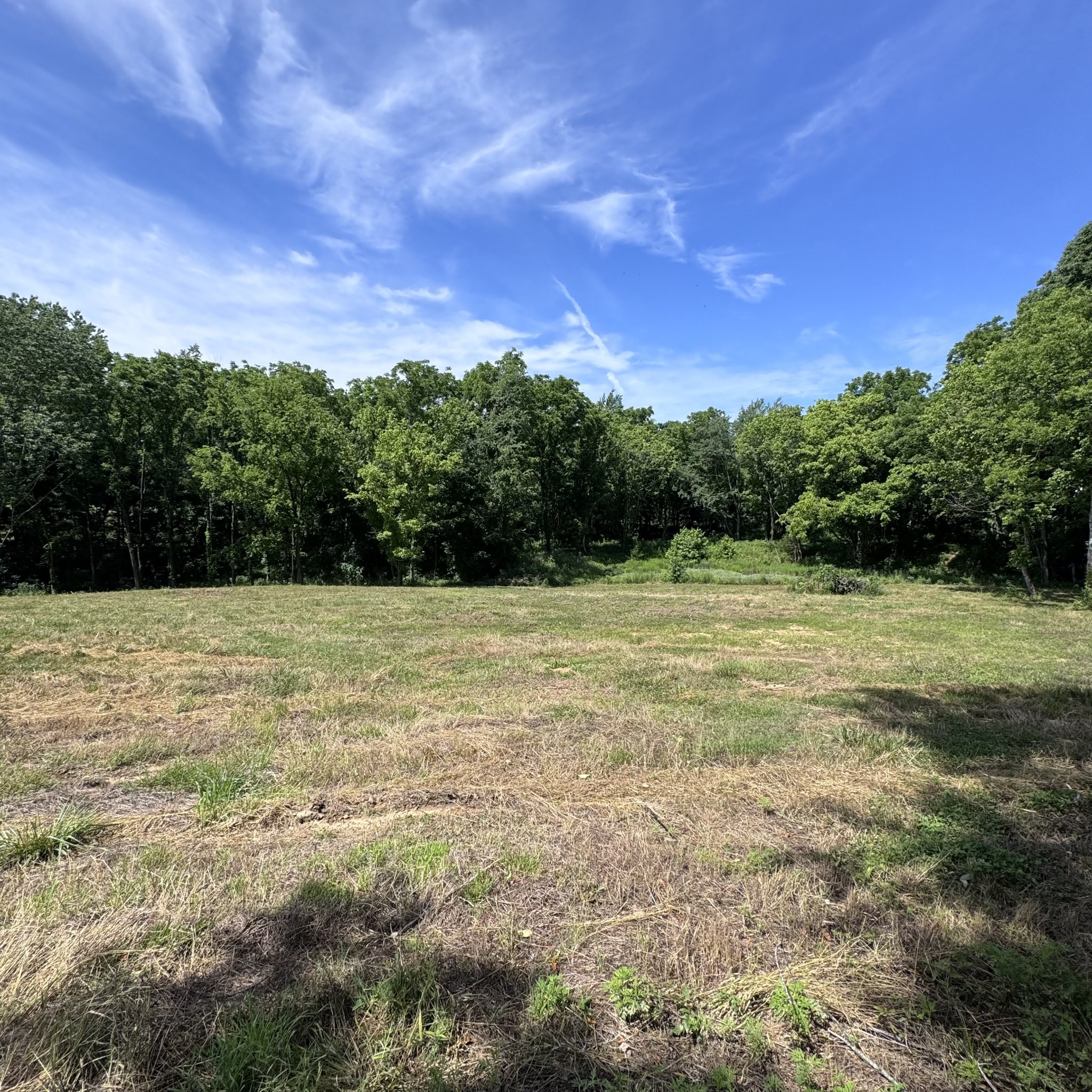 5 Poplar Ridge Lane Chapmansboro, TN 37035 - Photo 10 of 34 a view of a green field