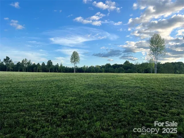 a view of a green field