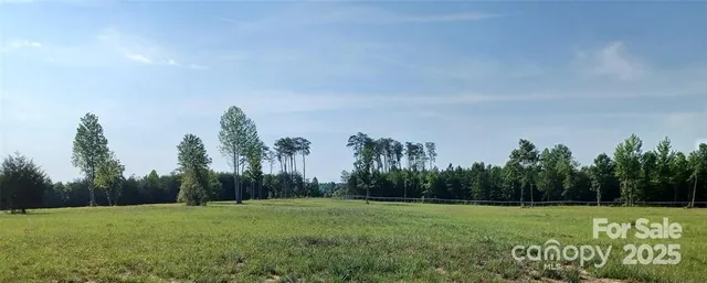 a view of a grassy field with trees in the background
