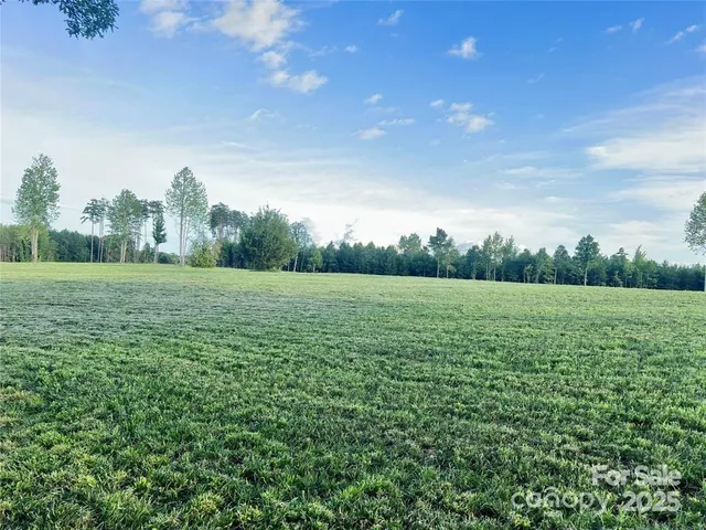 a view of a field with an trees in the background