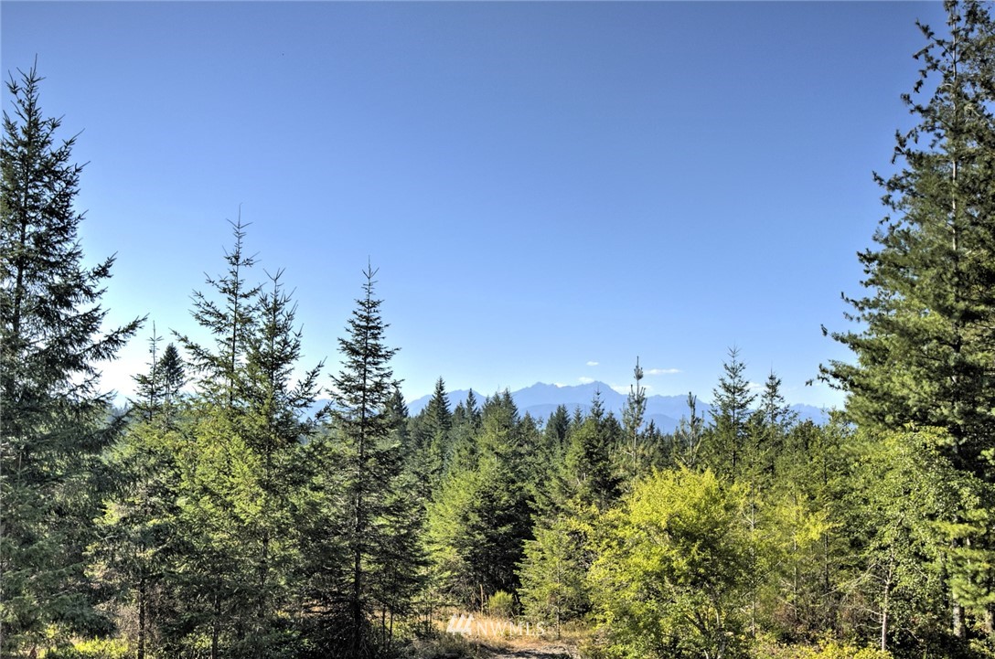 1590 East McReavy Road Union, WA 98592 - Photo 1 of 23 Gallery Image 1