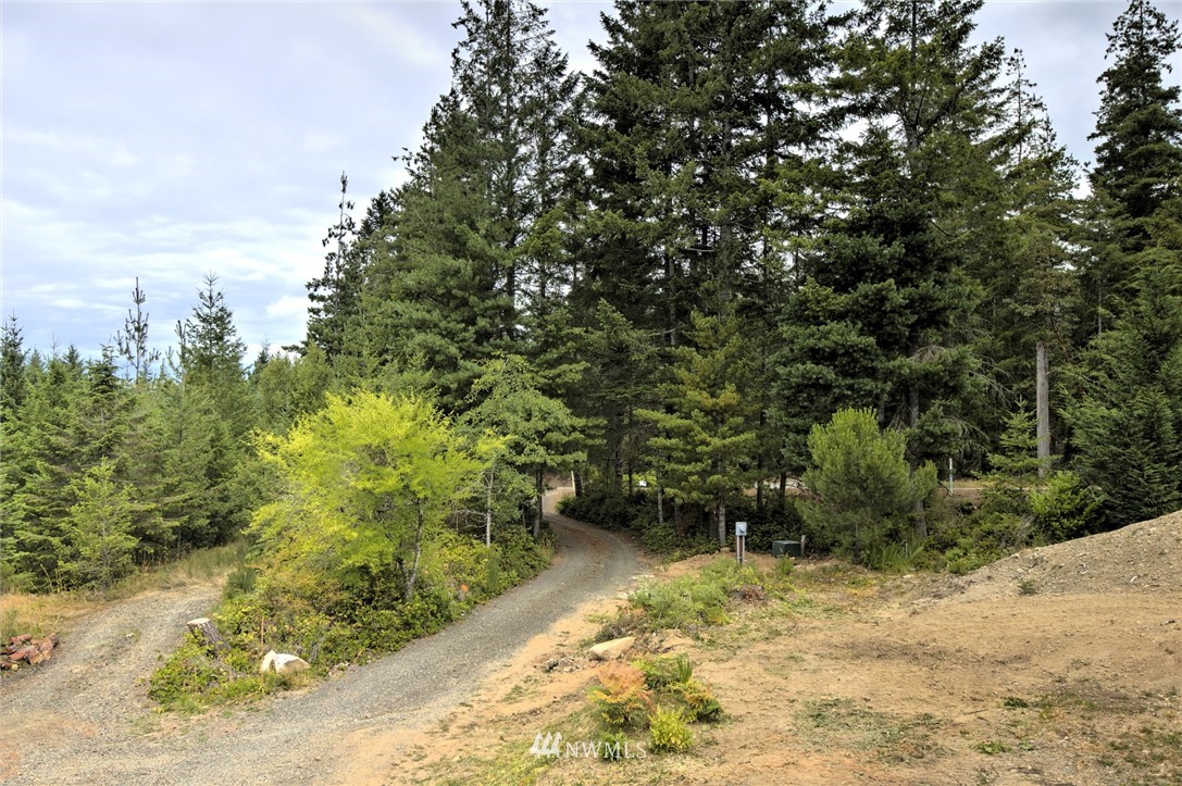 1590 East McReavy Road Union, WA 98592 - Photo 22 of 23 Gallery Image 22