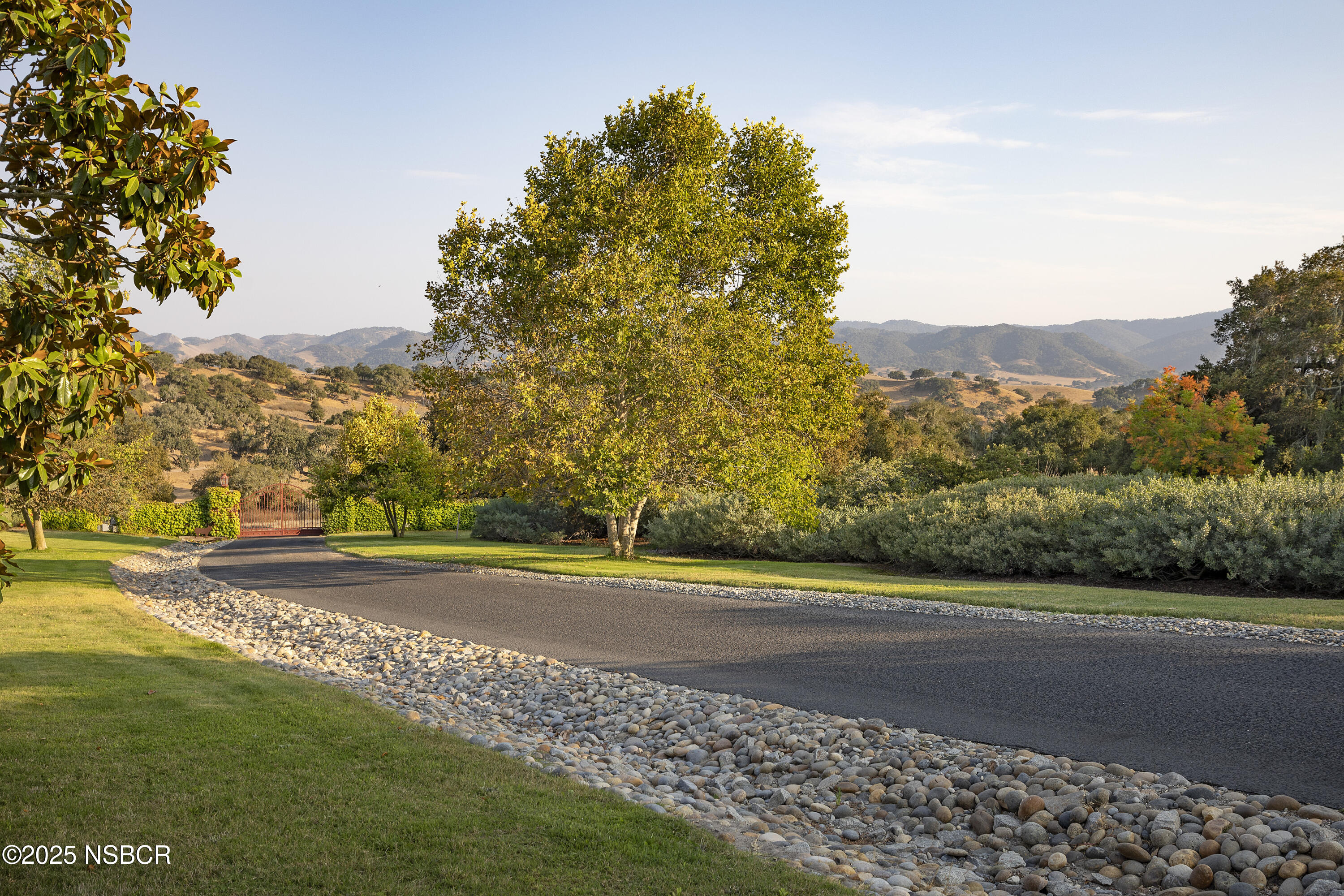 9985 Alisos Canyon Road Los Alamos, CA 93440 - Photo 3 of 25 a view of a yard and a large trees