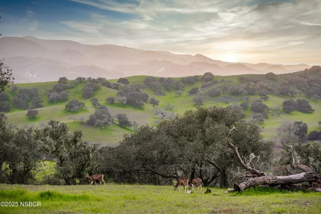 $6,450,000 | 9985 Alisos Canyon Road, Los Alamos, CA 93440