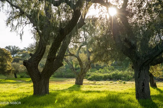 $6,450,000 | 9985 Alisos Canyon Road, Los Alamos, CA 93440