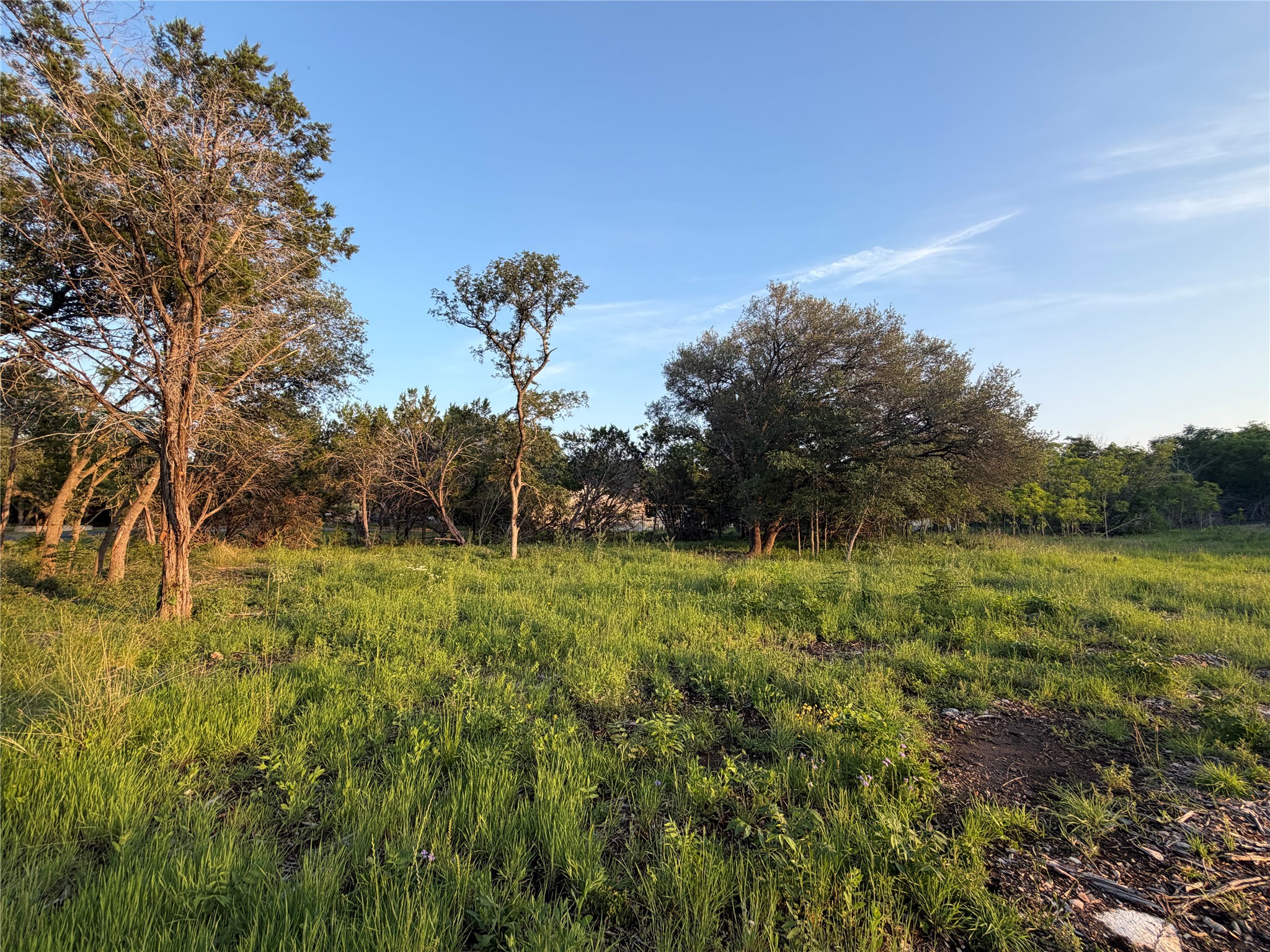 116 Council Road Georgetown, TX 78633 - Photo 1 of 4 Mature trees and native grasses on a generous, 2.1 acre ready to build lot.