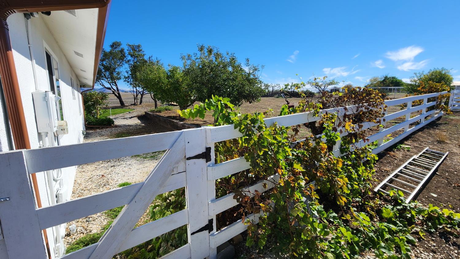 307 Mansfield Road Hollister, CA 95023 - Photo 13 of 62