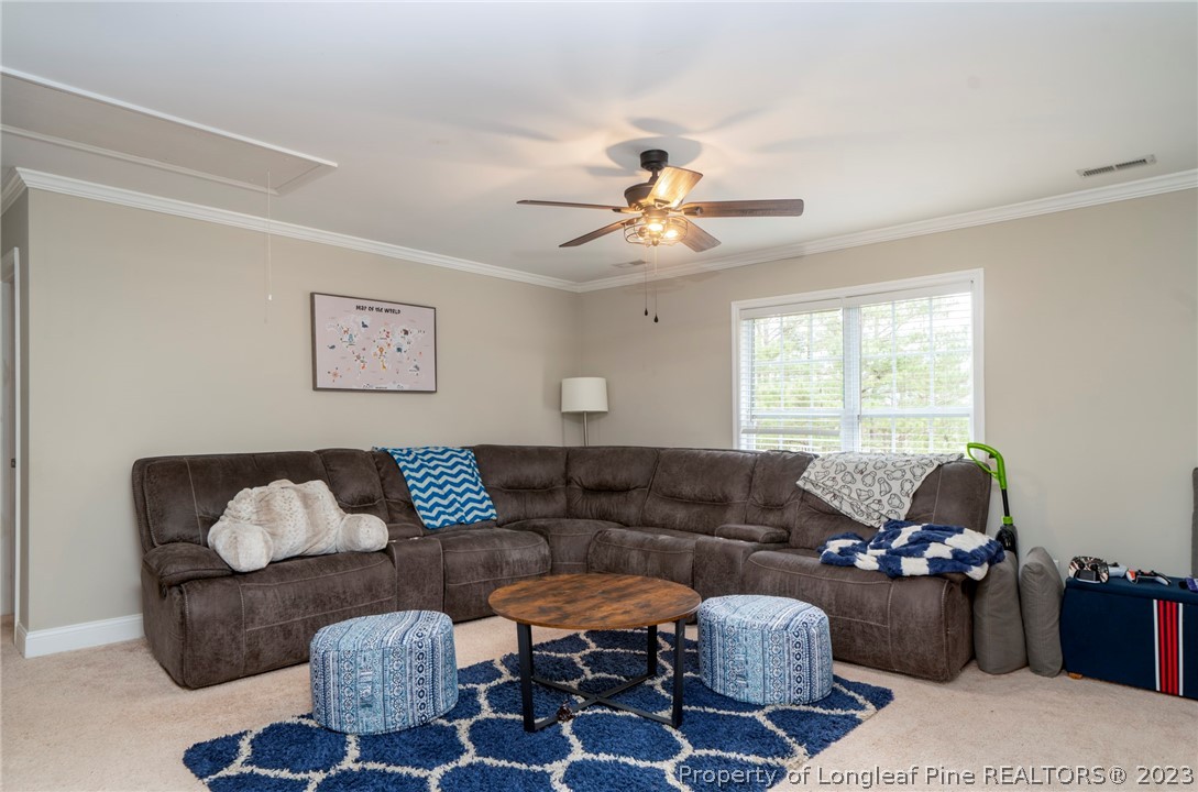 6000 Oak Spring Street Stedman, NC 28391 - Photo 32 of 42 Gallery Image 32