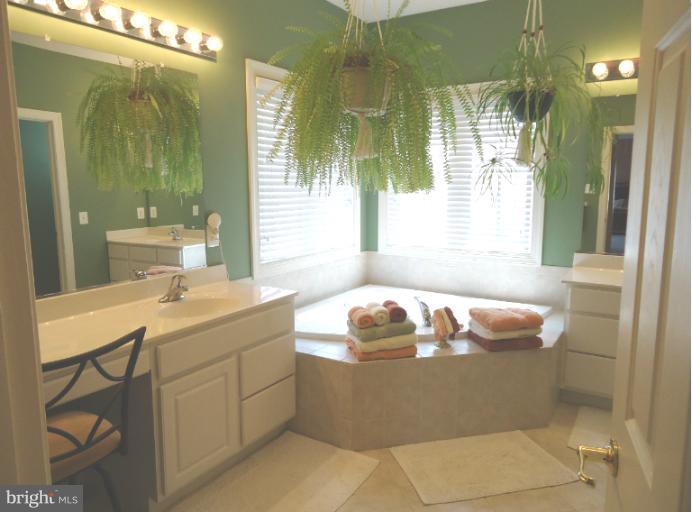 8919 Ricky Trevor Road Perry Hall, MD 21128 - Photo 9 of 27 a bathroom with a sink mirror and shower
