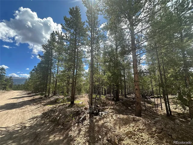 $60,000 | 218 Aspen Drive, Leadville, CO 80461