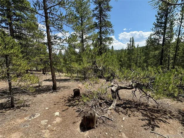 $60,000 | 218 Aspen Drive, Leadville, CO 80461