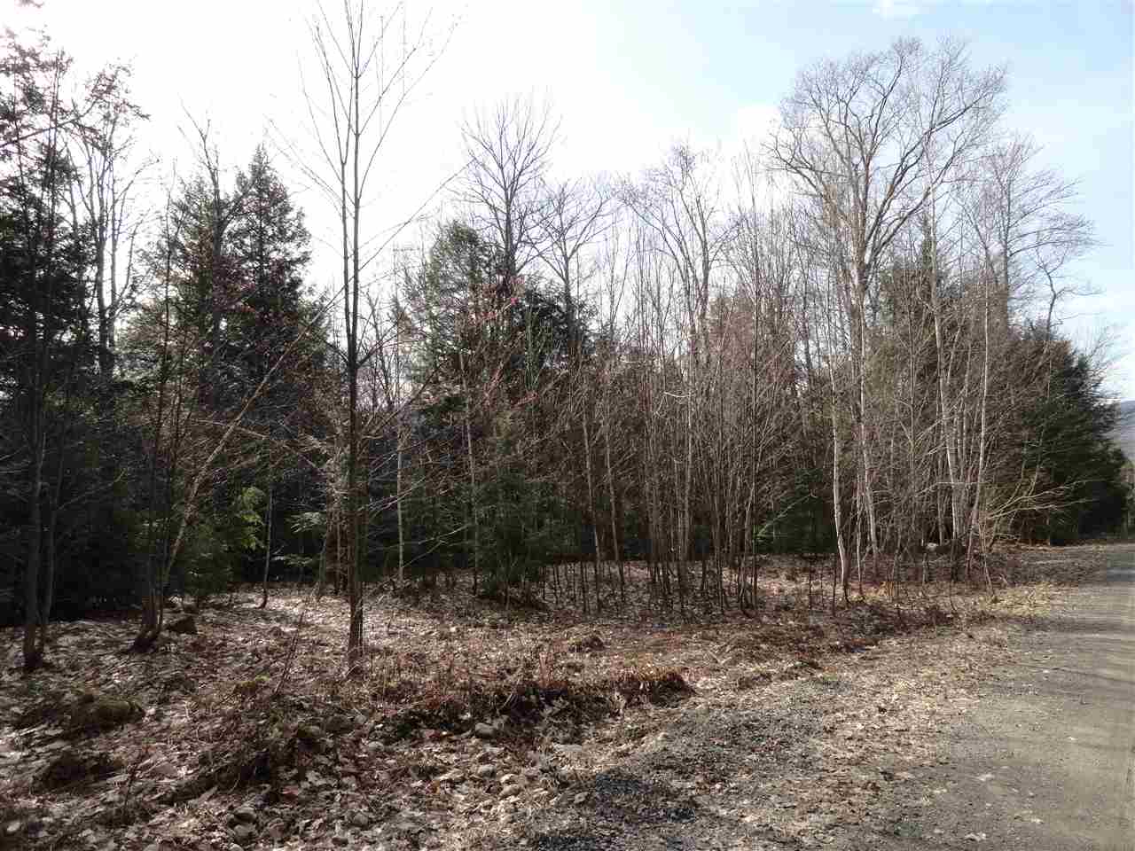 Lot 2 Mathews Road Alexandria, NH 03222 - Photo 2 of 11