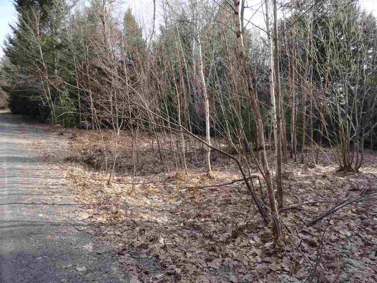 Lot 2 Mathews Road Alexandria, NH 03222 - Photo 3 of 11
